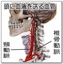 頭痛