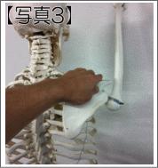 肩こりについて